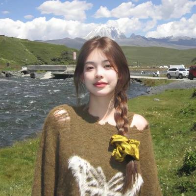 黑道风云之收数王 海报