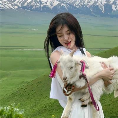 衰鬼抓狂 海报